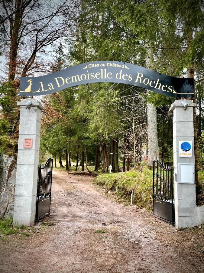 Apartamento Demoiselle Des Roches Ramonchamp Exterior foto